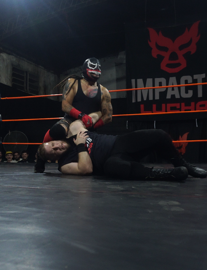 Gorila Segovia vs Bufón